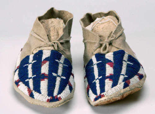 Moccasin