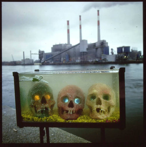 Like Sunken Drums of Waste and the Toxics They Contain, Even Sun and Rain Could Take the Life They Now Sustain