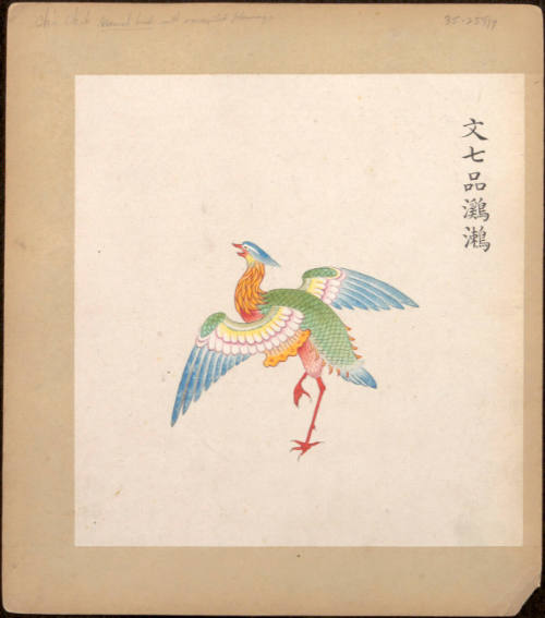 Illustrated Insignias