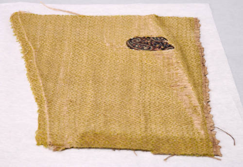 Fragment