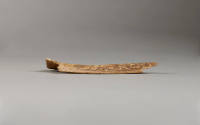 Left oblique