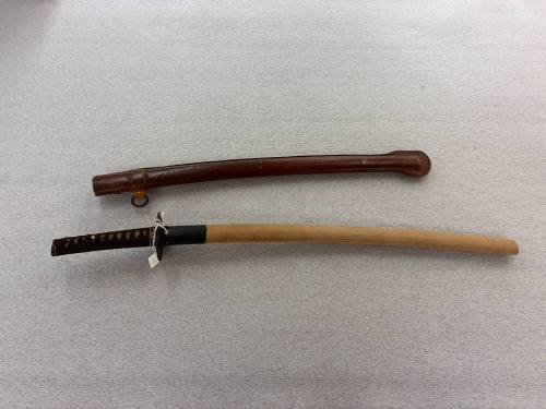 Sword in Scabbard