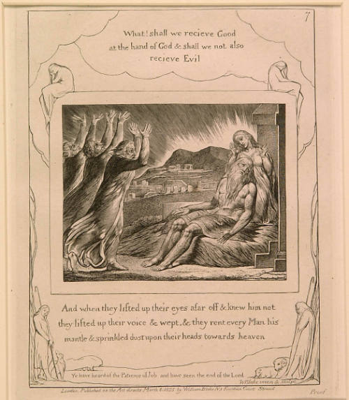 Job's Losses Book: Book of Job