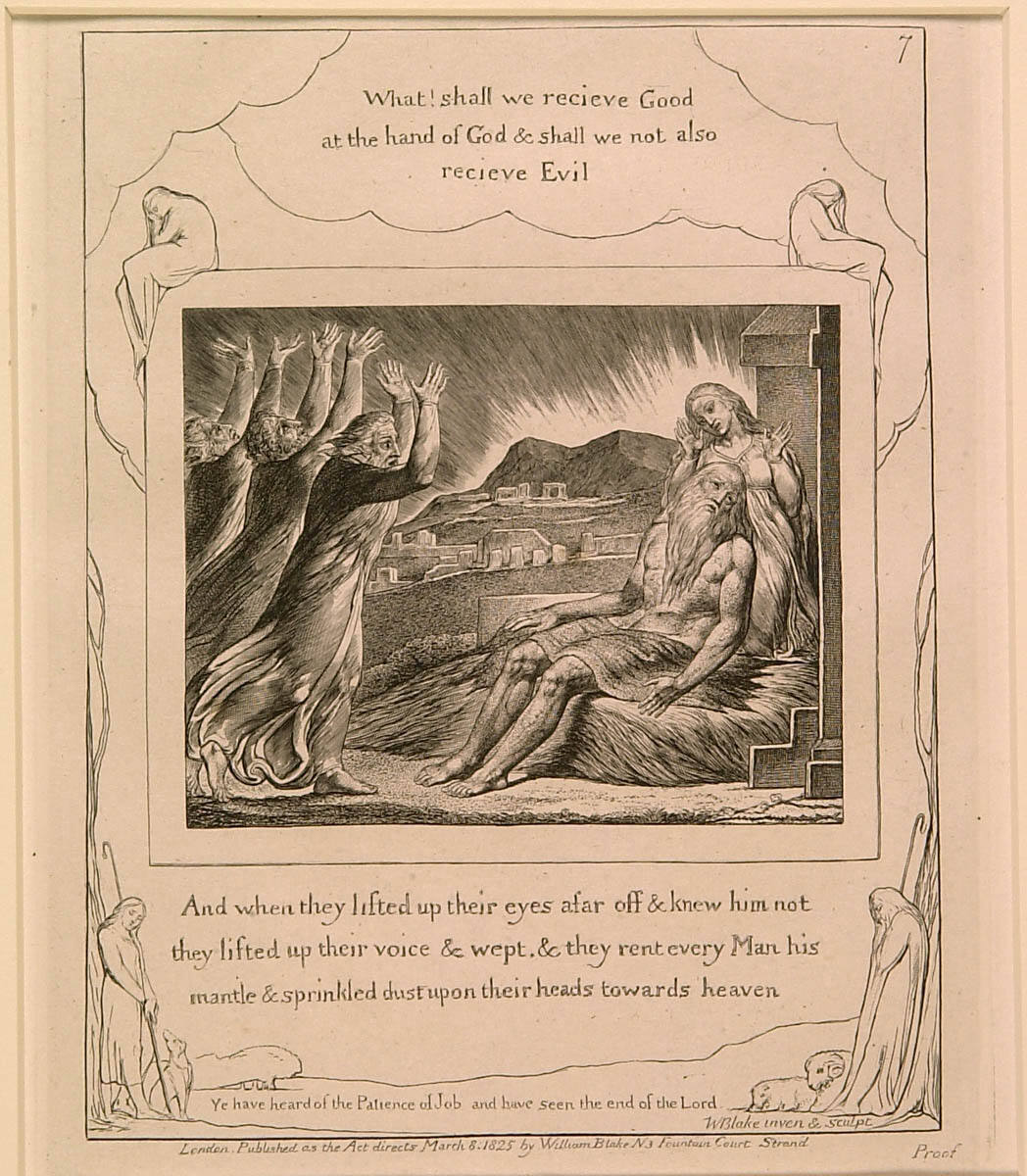 Job's Losses Book: Book of Job