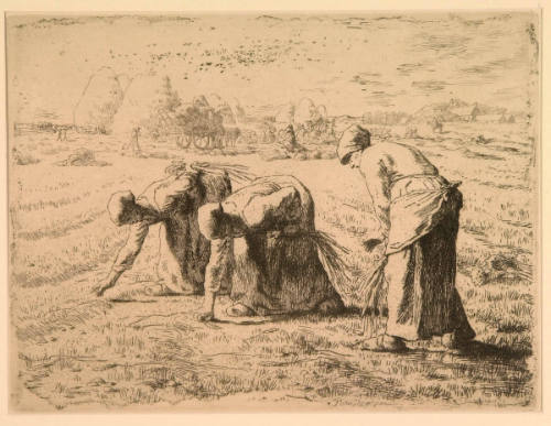 The Gleaners