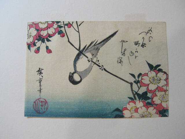 A Titmouse Perched on a Cherry Tree