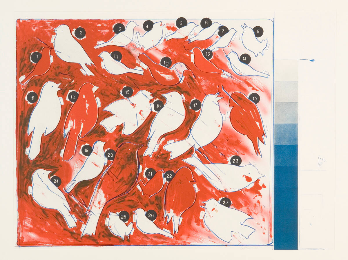 Genetic Variation and Natural Selection