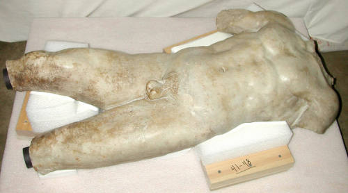 Male Torso