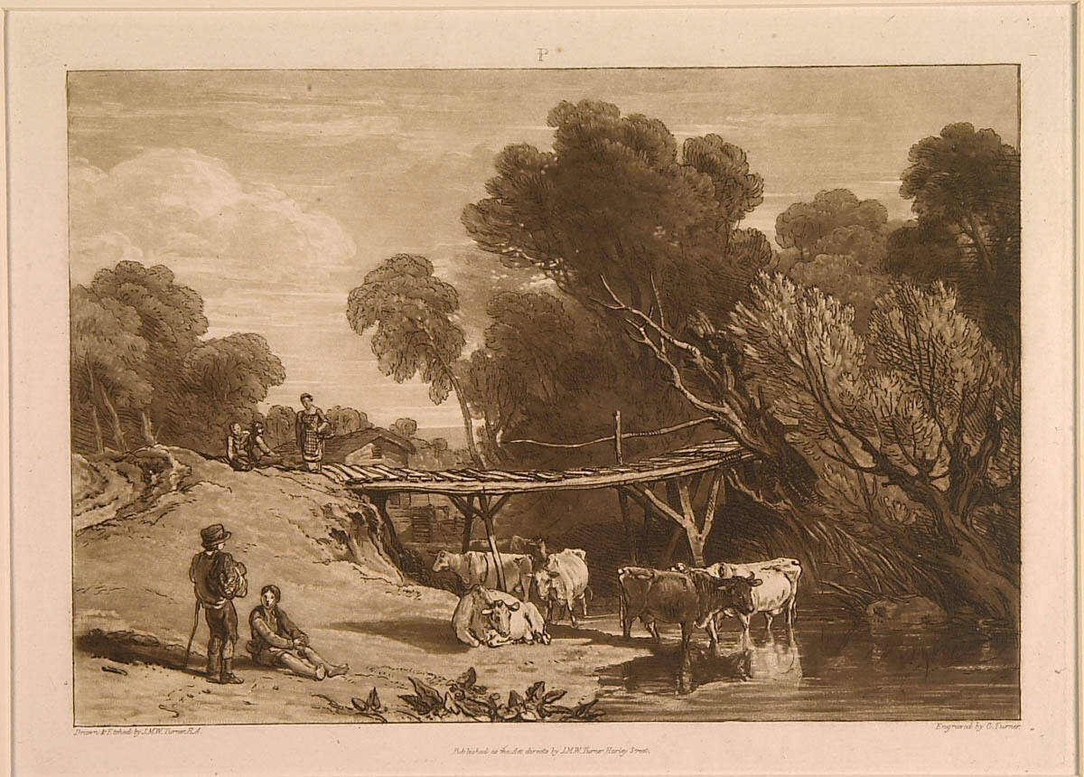 Bridge and Cows
