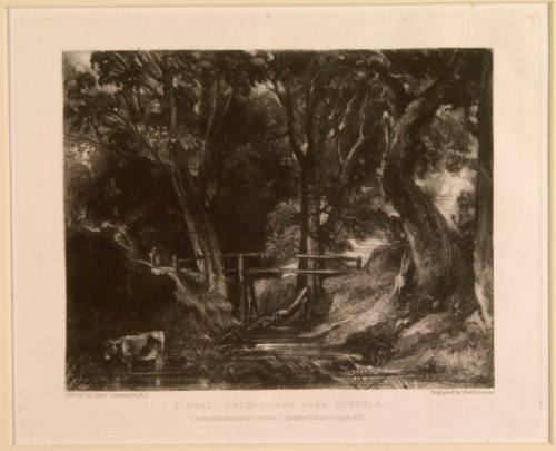 A Dell, Helmingham Park, Suffolk