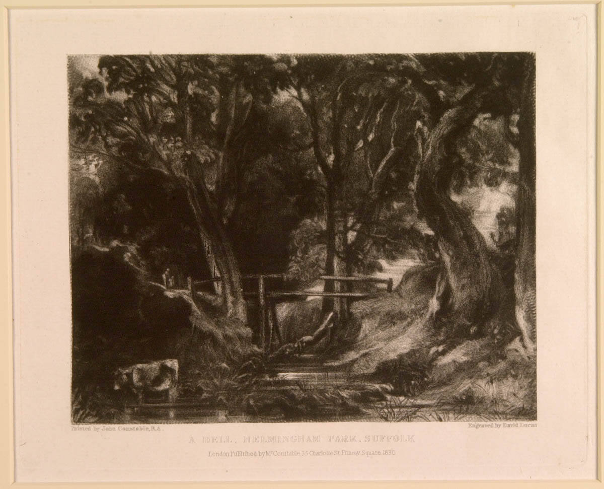 A Dell, Helmingham Park, Suffolk