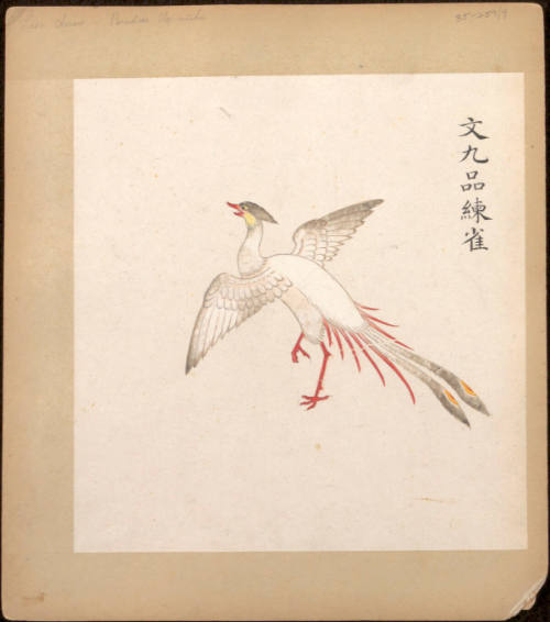 Illustrated Insignias