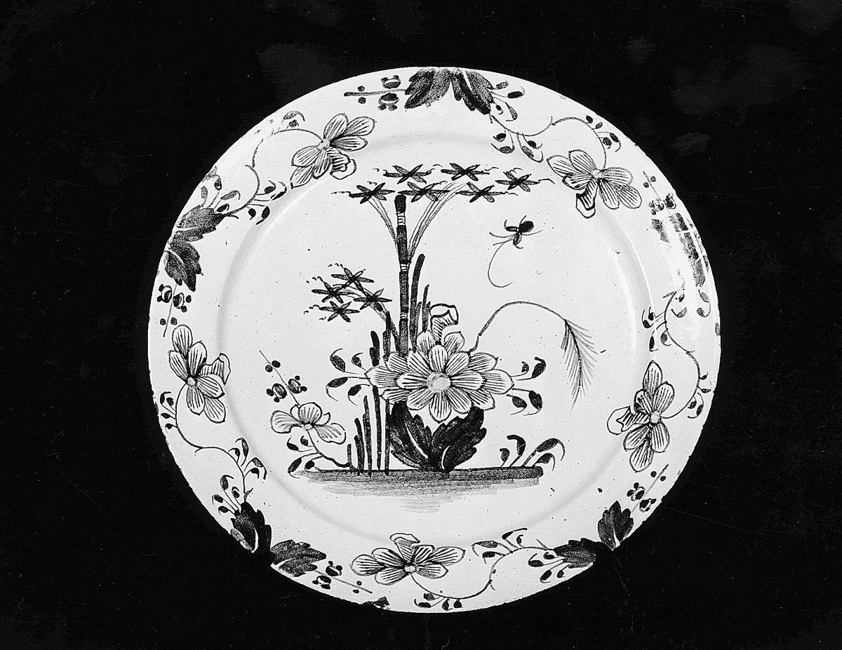 Dish