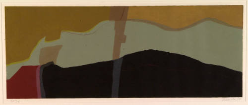 Lee Waisler