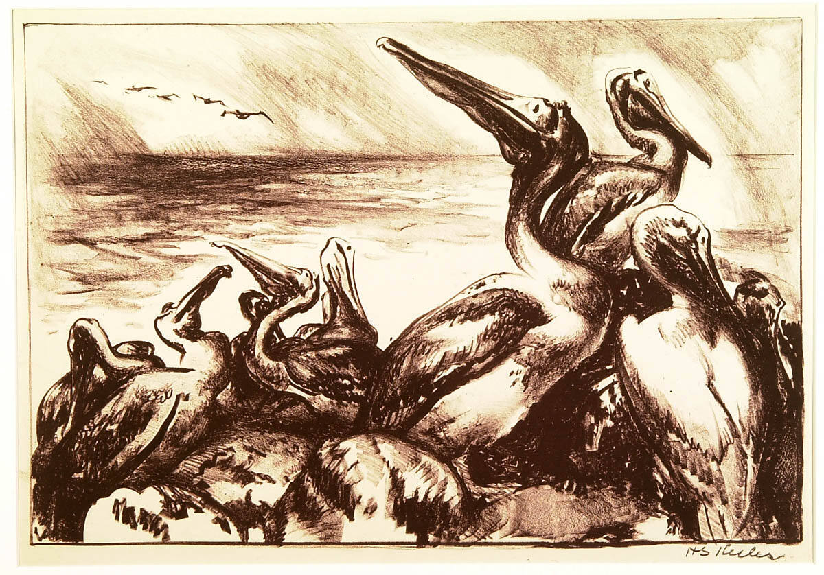 Pelican Rookery, No. 1