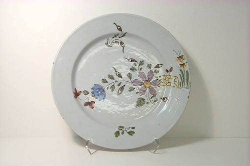 Dish