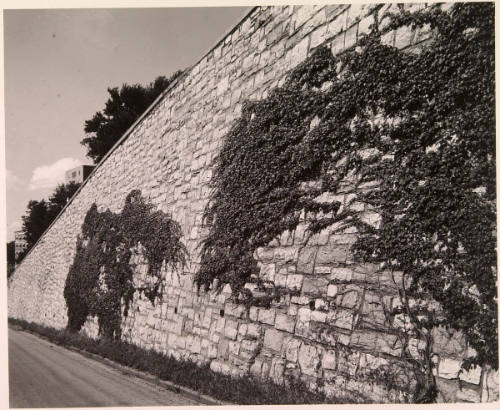 Wall