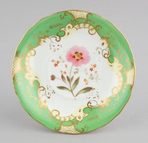 Saucer