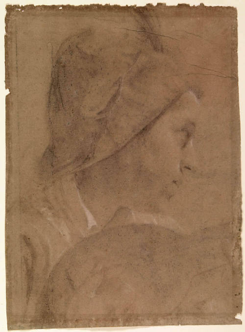 Head of a Youth with a Mandolin