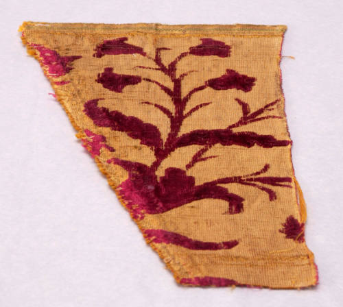 Fragment