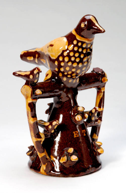 Cuckoo Bird