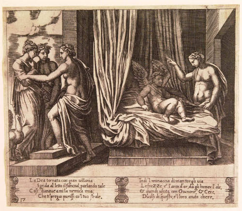 Venus Reprimands Her Son