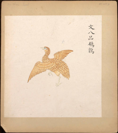 Illustrated Insignias