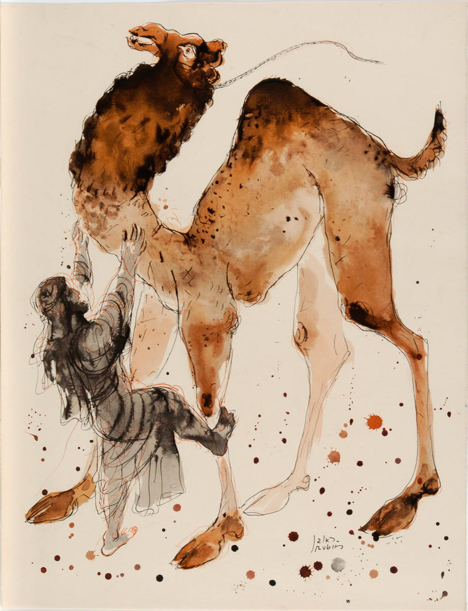 Camel Driver