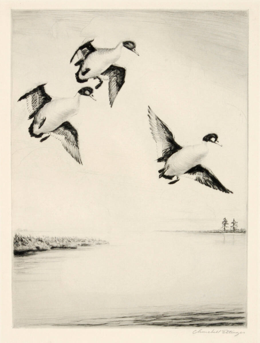 Three Whifflers