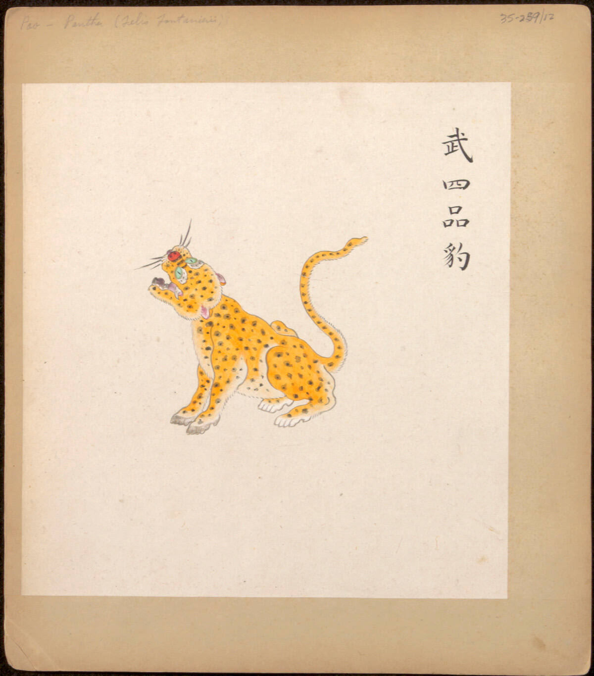 Drawing of a Leopard, from Illustrated Badges