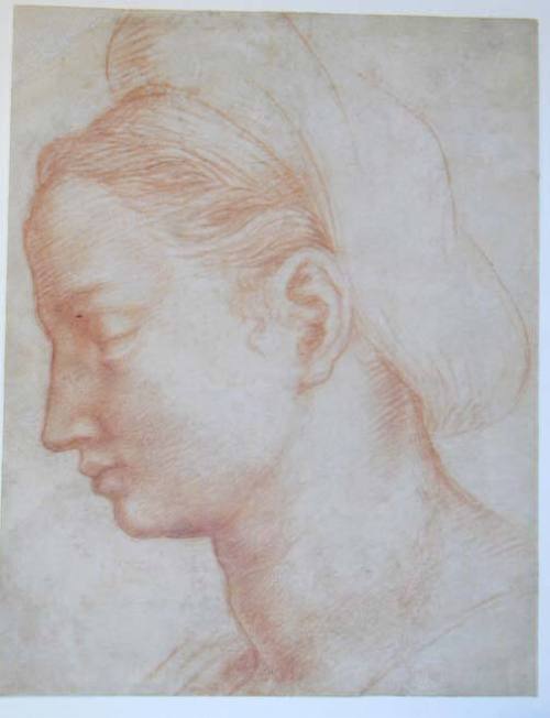 Profile Portrait of a Woman