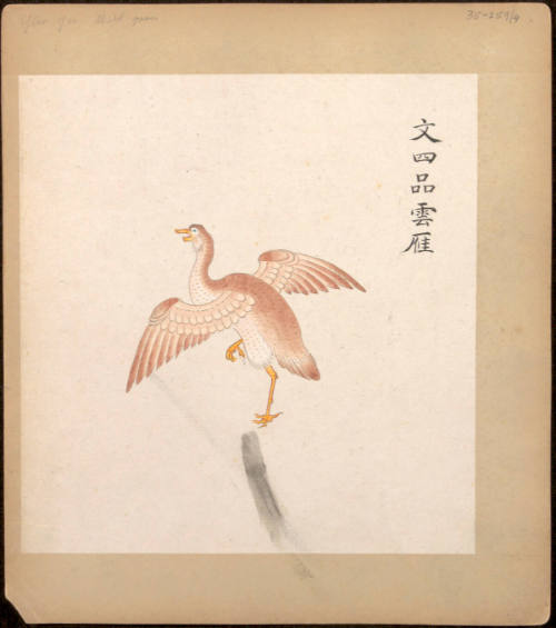 Illustrated Insignias