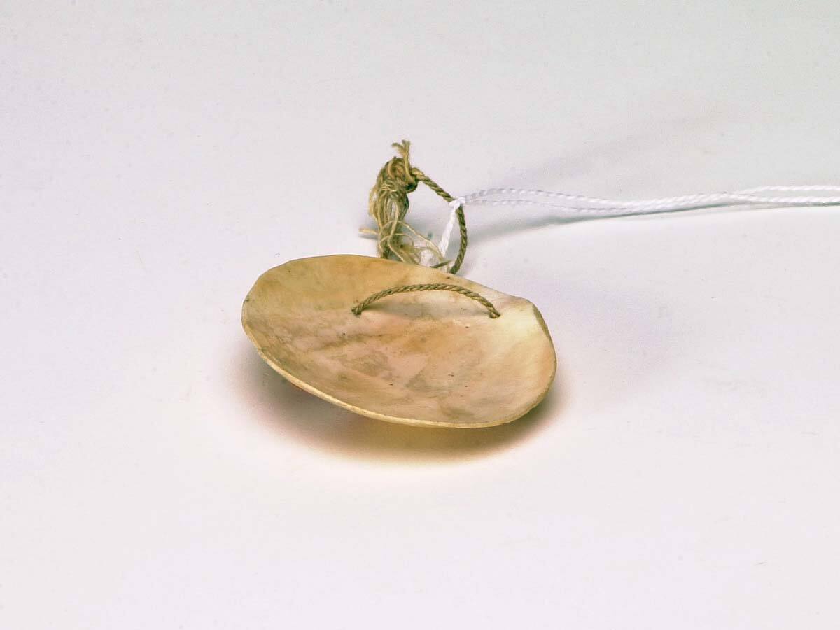 Shell Gorget