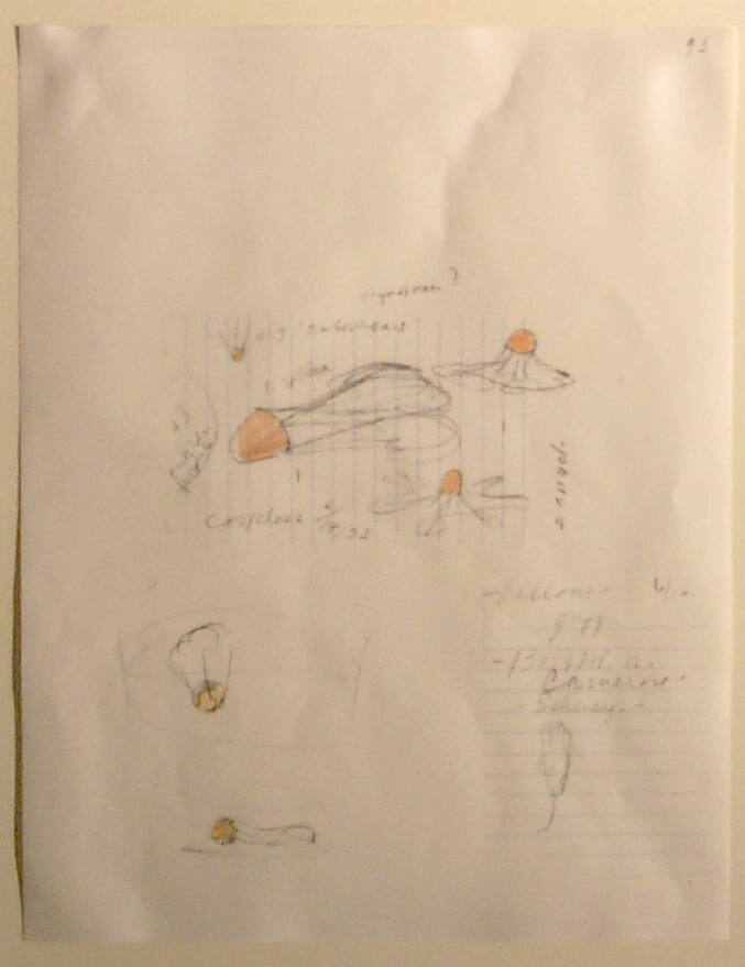 Notebook Page: Studies--"One Earheart"