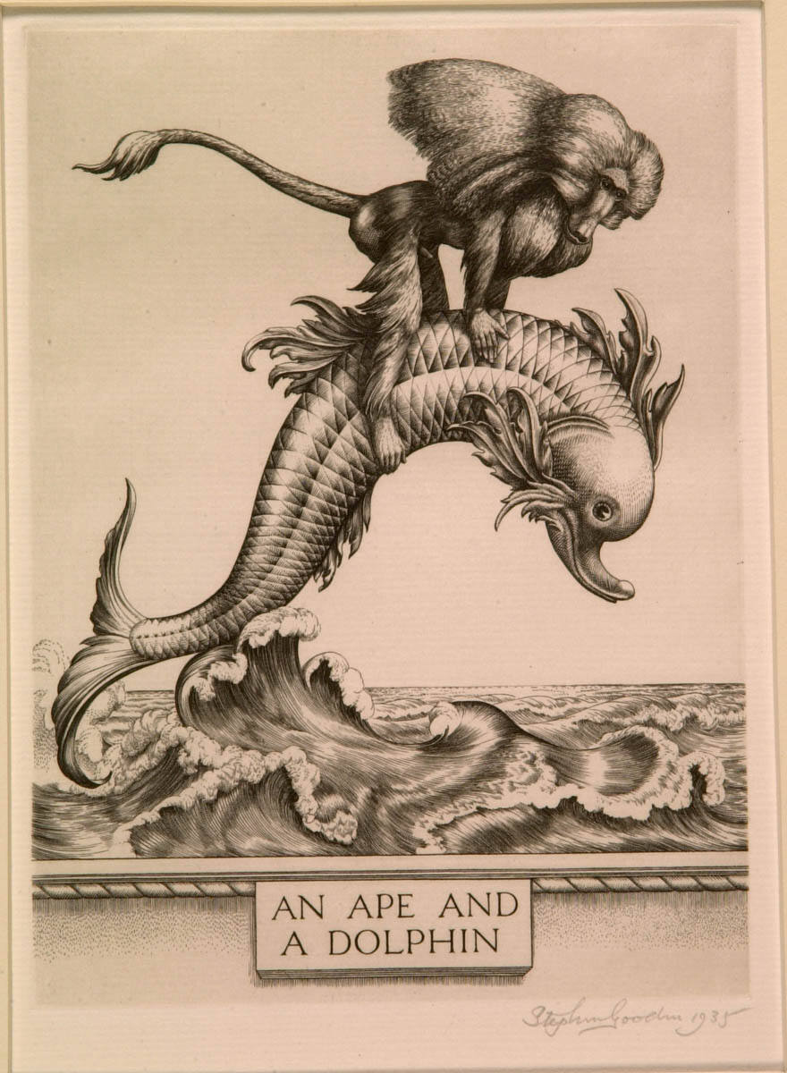 An Ape and a Dolphin