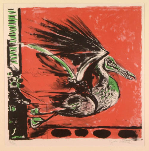 Bird