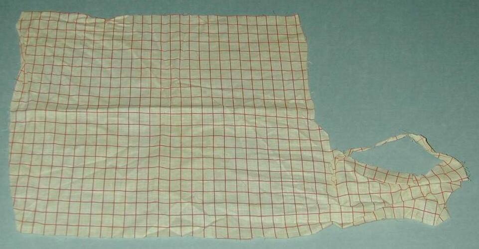 Piece of Plaid Fabric