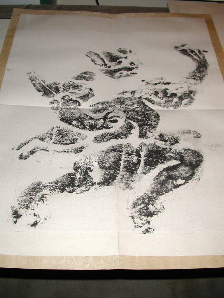 image overall