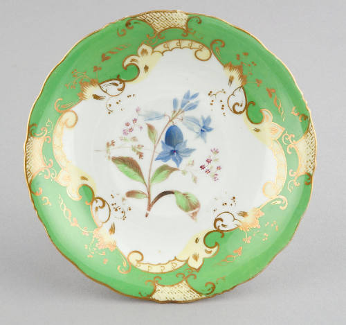 Saucer