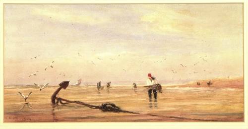 Shrimpers