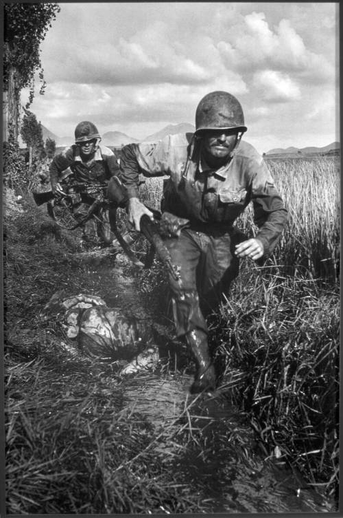 Untitled (South Korea, Summer), No. 41