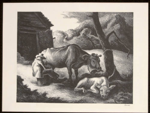 White Calf