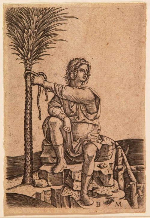 Man Seated by a Palm Tree