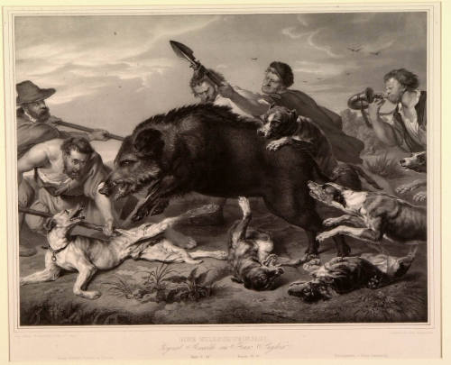 Wild Boar Hunt