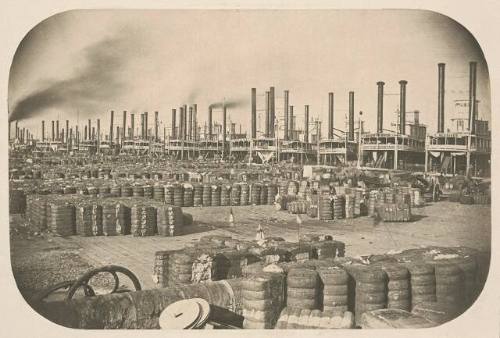 Steamships at Cotton Wharf, New Orleans