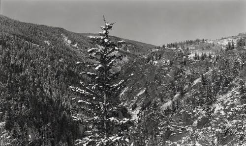 Colorado Landscape #12B