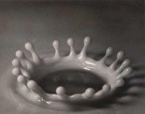 Milk Drop Coronet