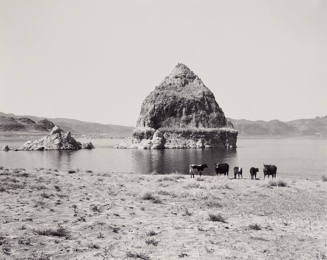 Lake Lahontan: The Pyramid, for Timothy O'Sullivan