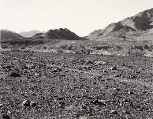 Chuckwalla Mountains: Trail to Corn Spring