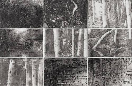 Patterns